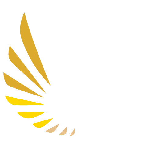 NFA logo