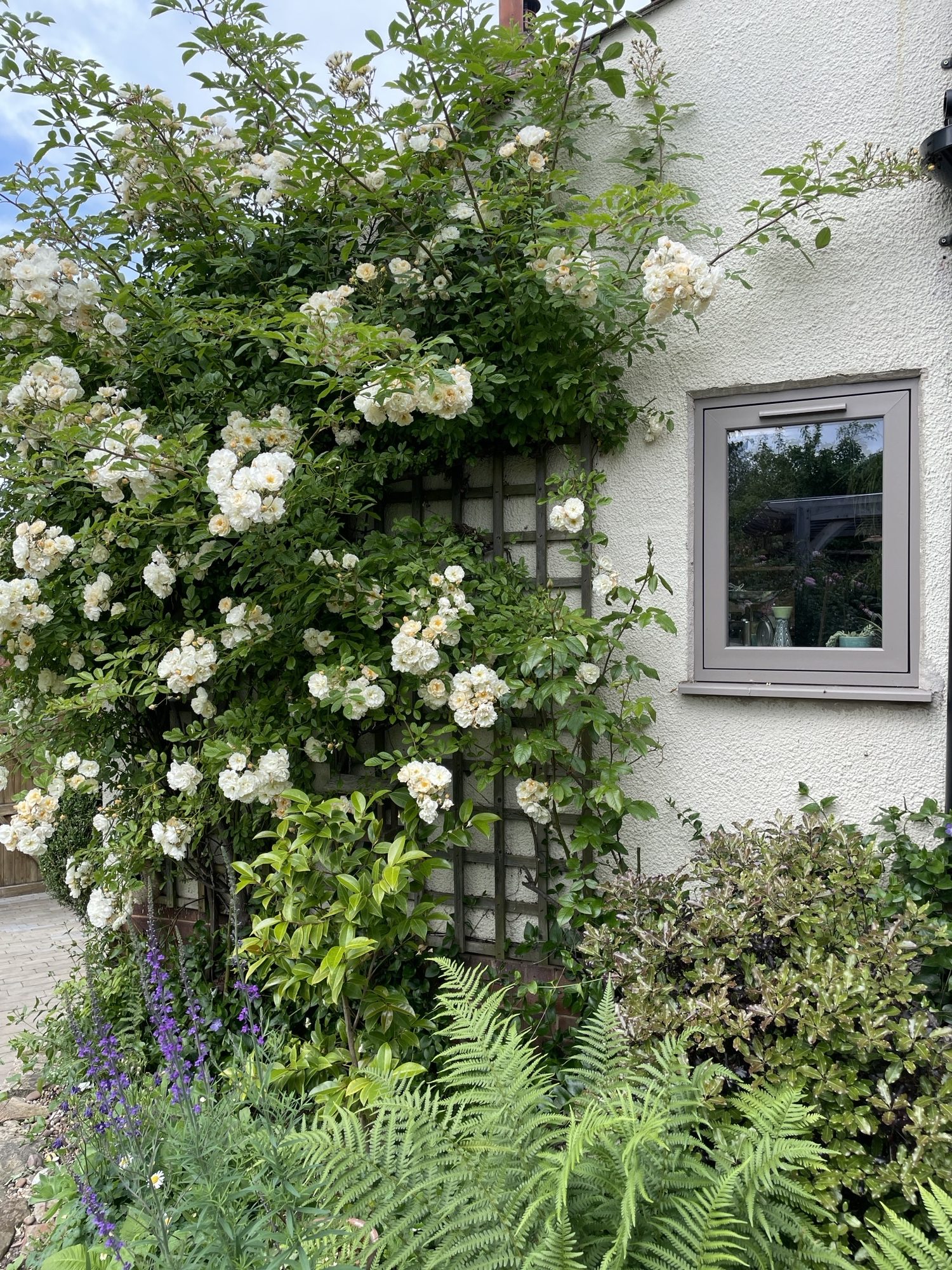 Bespoke Colour Requests Increase At Kolorseal